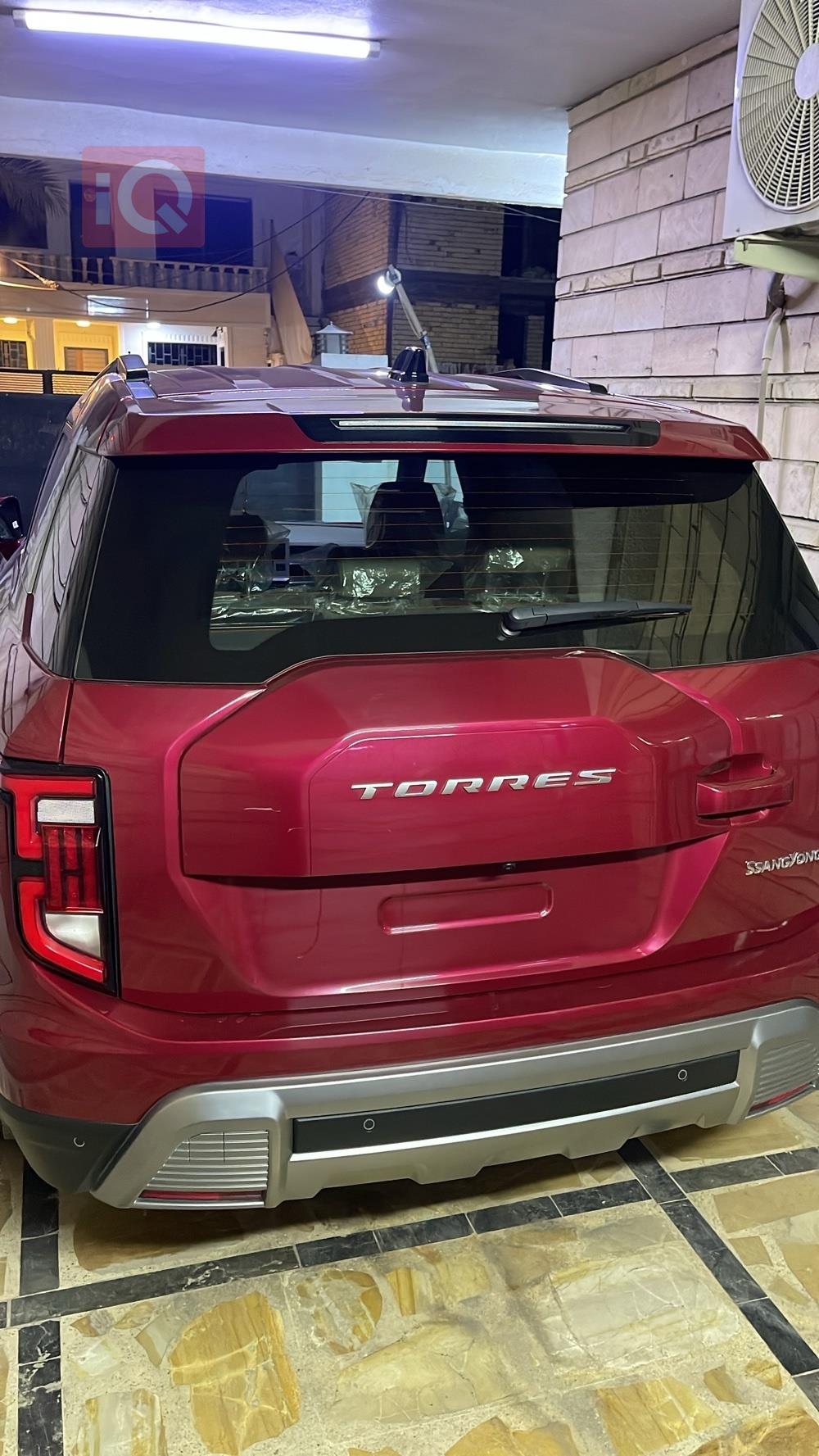 سانغ يونغ توريس